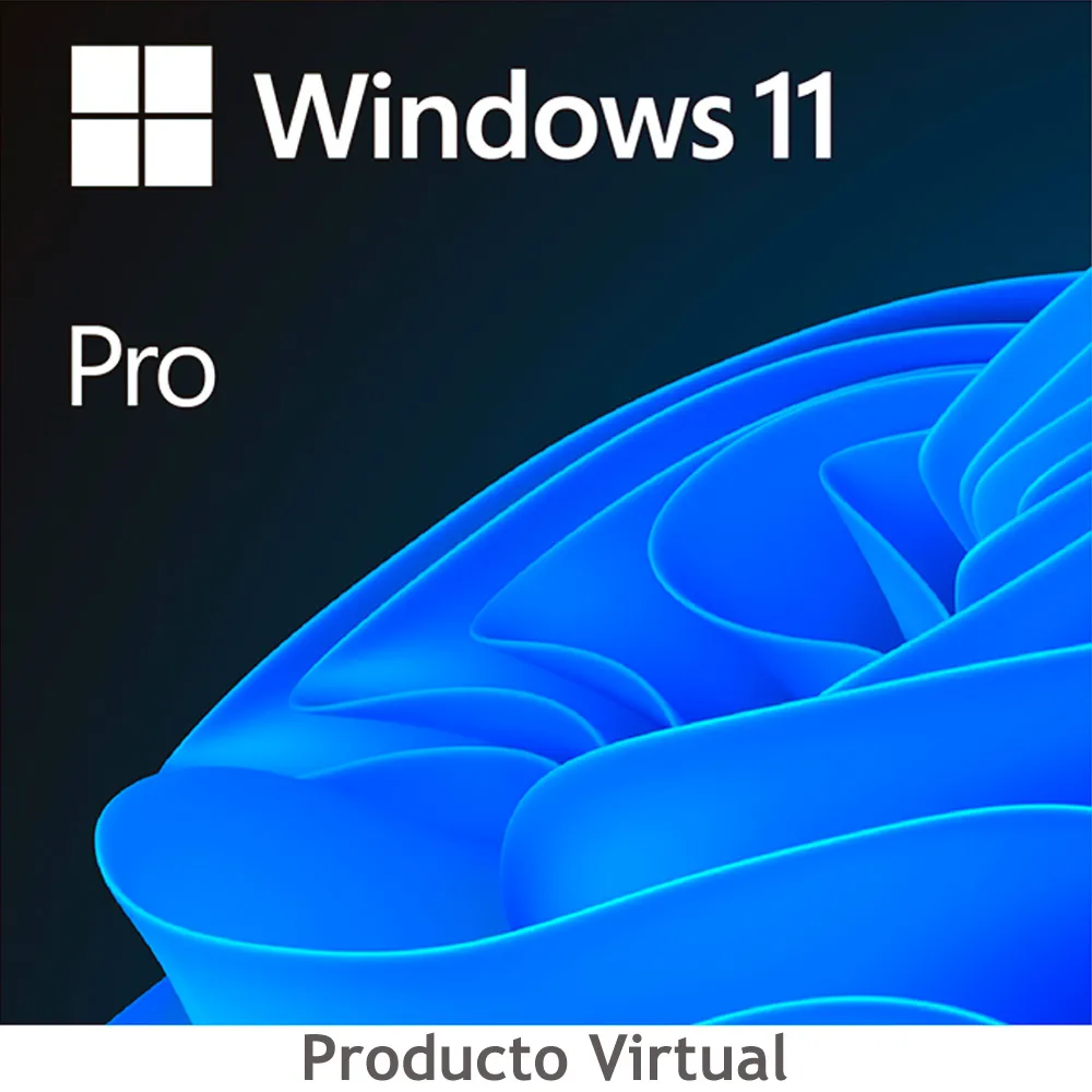 Windows 11 Pro OEM-image
